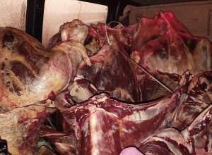 Միսը չի կարող իրացվել առանց ձև 5-ի առկայության