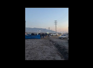 Ակցիայի մասնակիցները դեռ սպասում են Վոլկովին․