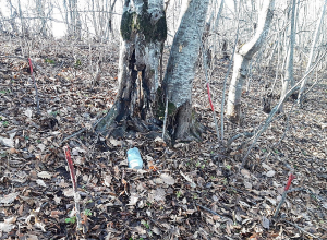 Հայտնաբերված  120մմ հրետանային արկը ոչնչացվել է