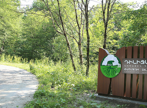 «Դիլիջան ազգային պարկ»-ի տնօրենի պաշտոնակատարի կողմից պաշտոնեական անփութություն կատարելու վարույթի նախաքննությունն ավարտվել է