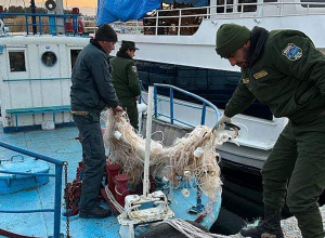 Սիգի որսի արգելքի միջոցառումների շրջանակում Սևանա լճից դուրս է բերվել 44 ապօրինի ձկնորսական ցանց