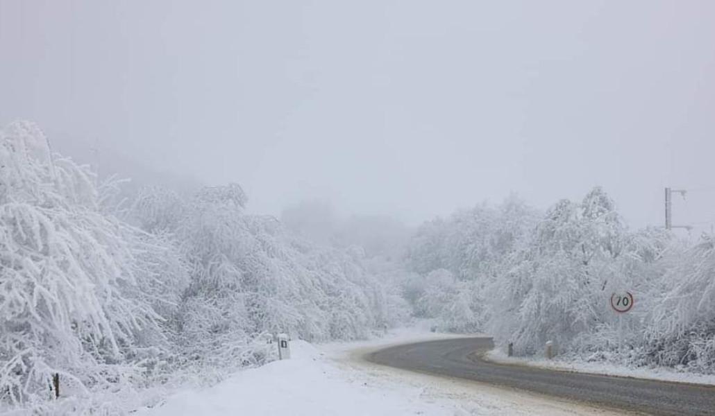 FB_IMG_1673161997120