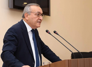 Нам не нужны жалость и сочувствие, нам нужны видимые и действенные шаги: Товмасян