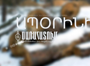 Հրազդանի կիրճից Դավիթաշեն թաղամաս տանող հատվածում ծառեր են կտրել