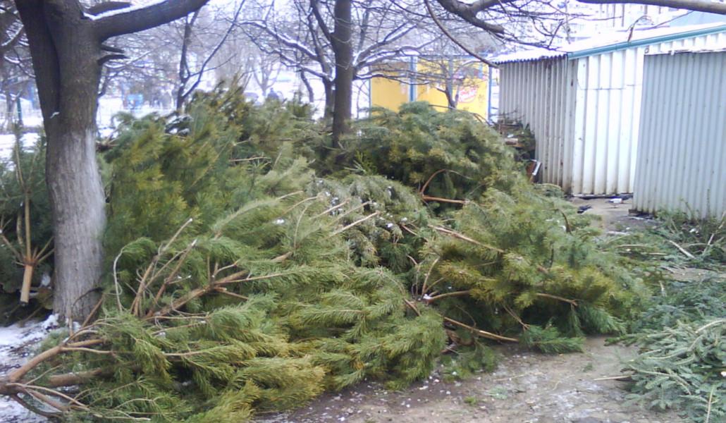 picturepicture_154824345912463425246519_65584