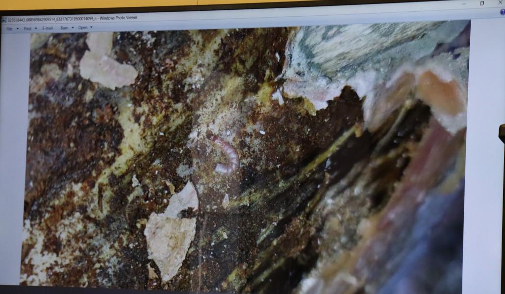 326133389_838134440608134_7965302092544648169_n