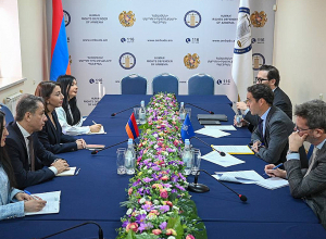 Քրիստիննե Գրիգորյանն ընդունել է  Խավիեր Կոլոմինա Պիրիսին