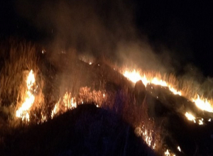 Հրդեհ Մեղրաձոր գյուղում․ Այրվել է մոտ 5000 քմ բուսածածկույթ