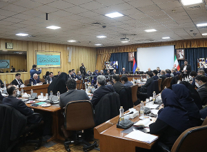 Կայացել է Հայ-իրանական միջկառավարական համատեղ հանձնաժողովի 17-րդ նիստի պայմանավորվածությունների ընթացքը  մշտադիտարկող հանձնախմբի նիստը