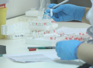 COVID-19 համավարակը շարունակում է մնալ միջազգային նշանակության արտակարգ իրավիճակ