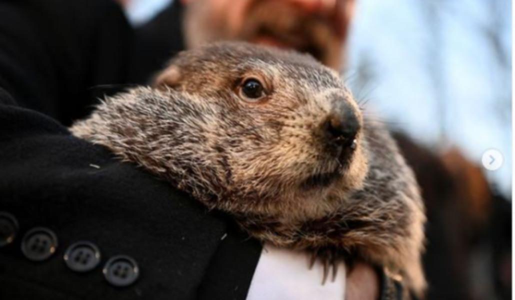 Groundhog yang terkenal telah meramalkan enam minggu lagi cuaca dingin di seluruh Amerika Utara