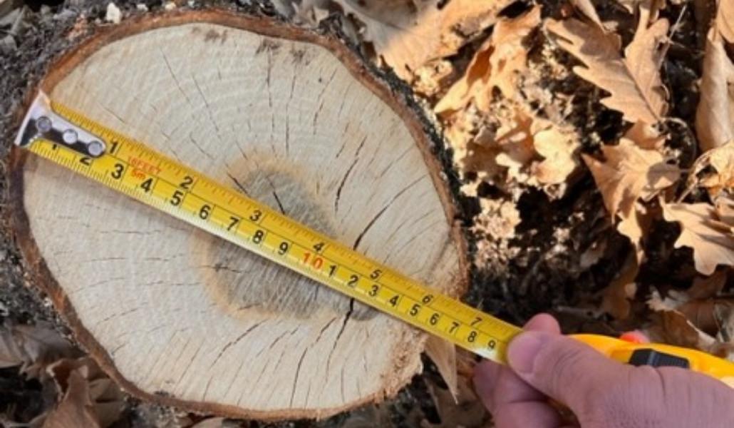 329056627_891222131995505_6170981234439055662_n