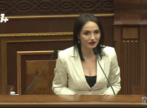 Серьезное лицо – это ещё не признак ума, господа: Бадалян - оппозиции