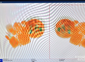 Կալանավորված անձն իր հետ «Գորիս» ՔԿՀ բերված հավի չախոբիլիում թաքցրել էր բջջային հեռախոս