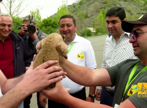 Տեսահսկվում են կենդանիները