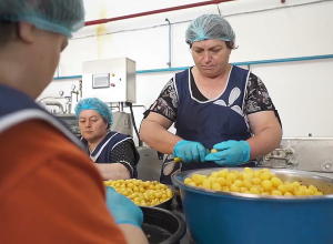 Պետաջակցությամբ ագրոպարենային սարքեր գնելու ներդրումային պորտֆելը հատել է 34 մլրդ դրամը