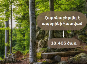 2022թ. ընթացքում ապօրինի հատվել են 18,405 ծառ․ ամփոփ տեղեկատվություն