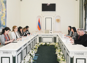 Գլխավոր դատախազի տեղակալ Մանասյանը ԵԽ գործընկերների հետ քննարկել է համագործակցության զարգացման հեռանկարները