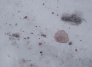 Поножовщина возле села Апна