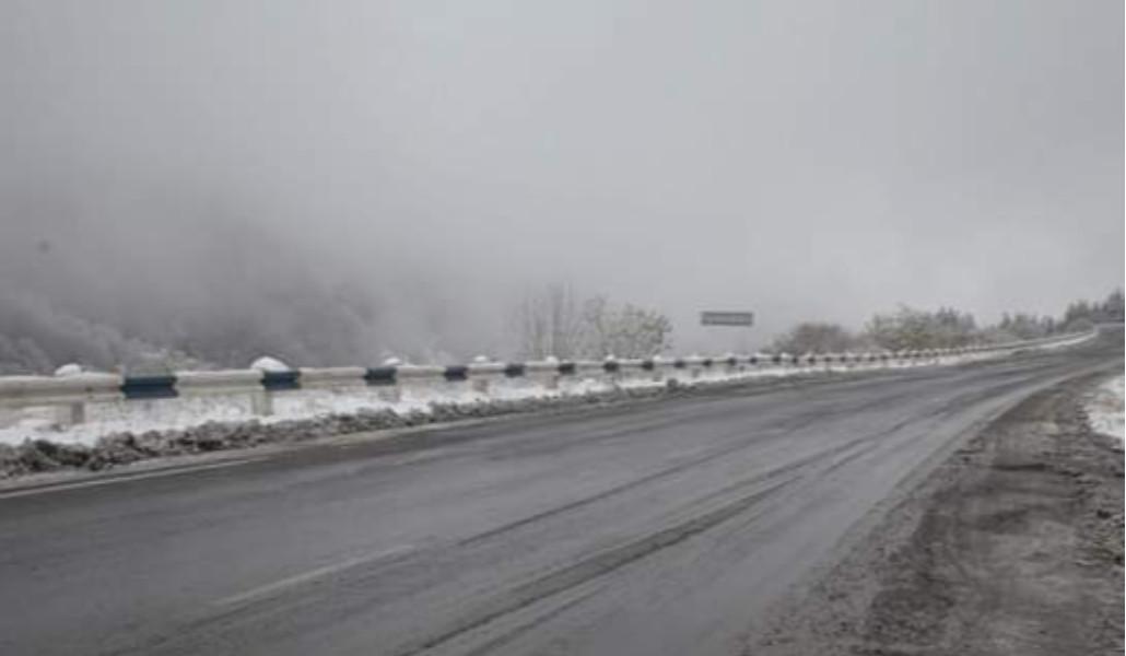 FB_IMG_1677126253784