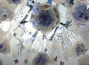 Հրաշալի ծաղիկներ՝ թափոններից