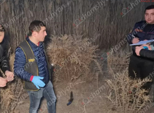 Ջրառատ գյուղում 46-ամյա տղամարդն սպանել է 31-ամյա փեսային․ Shamshyan.com