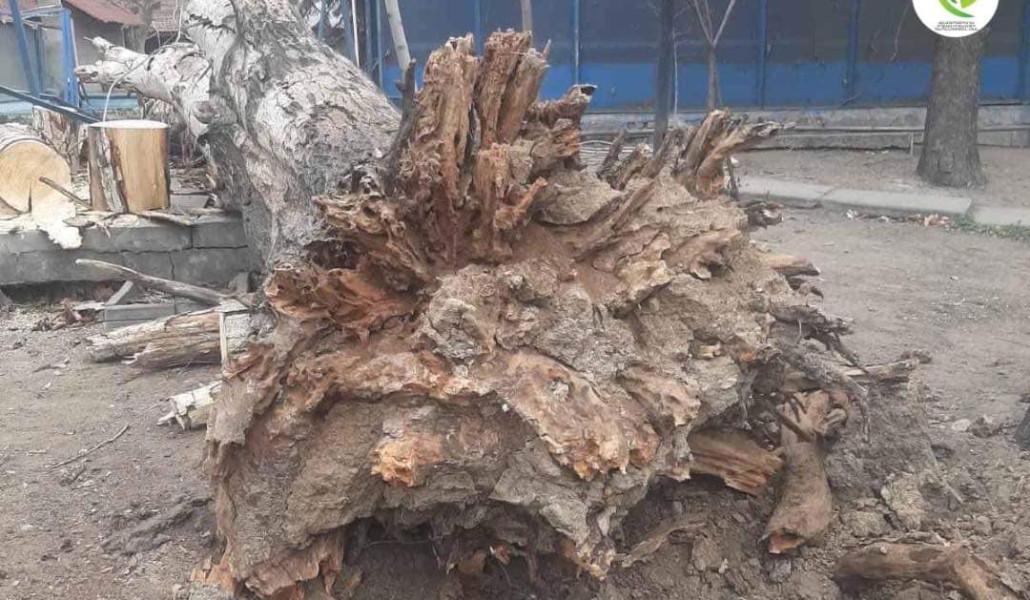 329176476_226648173146874_100044873481655617_n