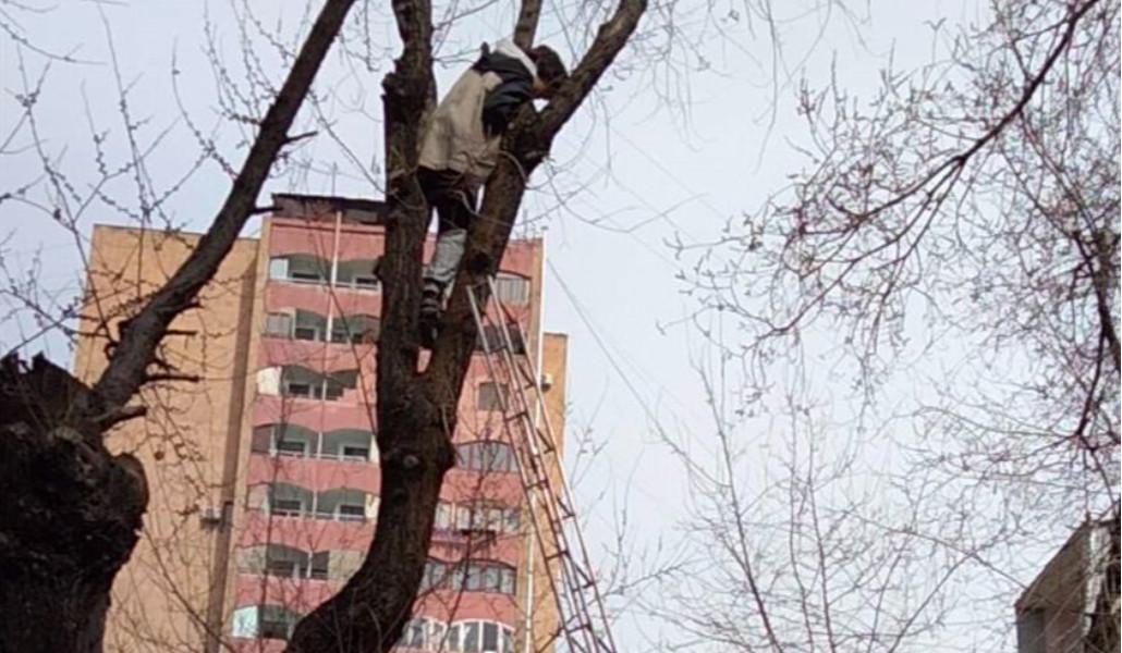 334629263_1202650333946177_7269192225060408774_n