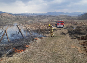 Արմավիրի մարզում այրվել է մոտ 25 հա խոտածածկույթ, խաղողի վազեր և մոտ 300 մրգատու ծառ