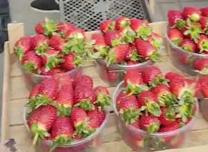 Հակահասարակական իրավախախտումների կանխման ու հայտնաբերման նպատակով շրջայցերը շարունակվում են