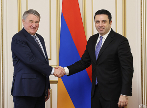 Գործուն քայլեր ենք ակնկալում առաջին հերթին ՌԴ-ից, որի խաղաղապահ զորակազմը տեղակայվել է Լեռնային Ղարաբաղում․ Ալեն Սիմոնյանը՝ ՌԴ Դաշնային ժողովի նախագահին