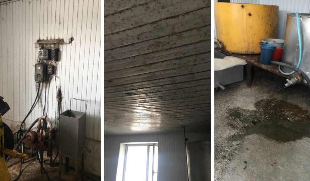 Untitled Design (33)