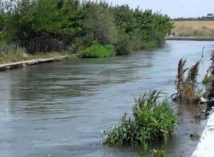 Արշալույս գյուղի ջրանցքում հայտնաբերվել է դի