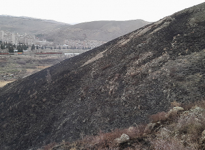 Այրվել է մոտ 10 հա բուսածածկույթ