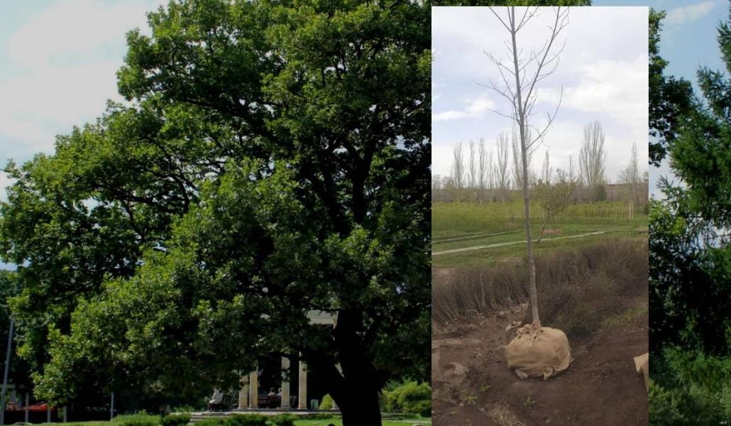 Untitled Design (41)