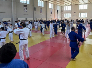 Հայաստանի ձյուդոյիստները հավաք են անցկացնում Վրաստանում