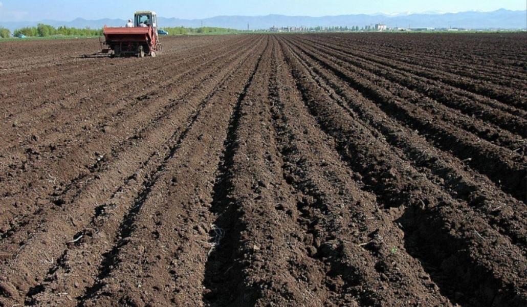 գյուղատնտես