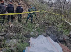 Երիտասարդը մեքենան կայանել է Դավթաշենի կամրջի վրա և ցած նետվել