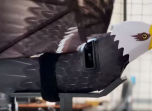 Սատկած թռչունները նոր կյանք են ստանում և վերածվում անօդաչու թռչող սարքերի