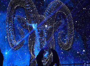 Երեւանն ընդունեց ծանրամարտի Եվրոպայի առաջնությունը․ ֆոտոշարք