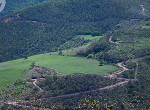 Միայն Կապան համայնքի տարածքից ադրբեջանական օկուպացիայի ներքո է հայտնվել 2,700 հեկտար հող․ «Թաթոյան» հիմնադրամ