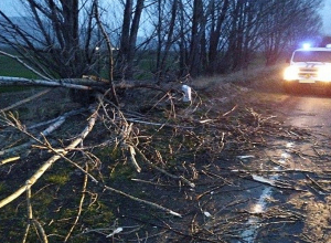 Սպիտակ-Գյումրի ավտոճանապարհին ծառն ընկել է ճանապարհի երթևեկելի հատված