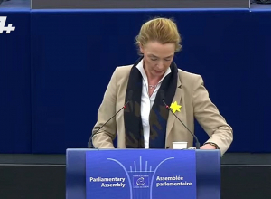 ԵԽ գլխավոր քարտուղարը՝  Լաչինի միջանցքի մասին