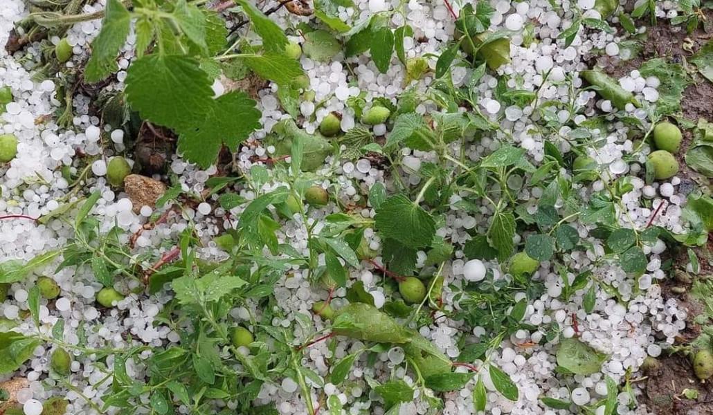 344253059_549637350630788_7191523711961695627_n