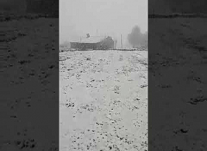 Արագածոտնի մարզի Ճարճակիս գյուղում տեղում է ձյուն․ Գագիկ Սուրենյանը տեսանյութ է հրապարակել