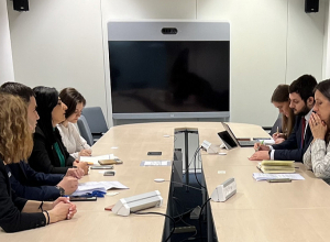 Բրյուսել կատարած աշխատանքային այցի շրջանակում Թագուհի Թովմասյանը մի շարք հանդիպումներ է ունեցել