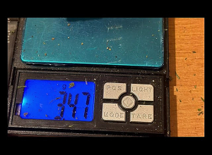 Свыше 1 кг марихуаны, более 1300 растений конопли и не только: Полиция Армавира раскрыла преступление