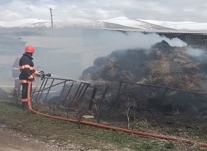 Այրվել է մոտ 800 հակ անասնակեր