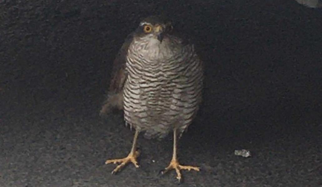 346483794_208255665329062_4426472469418511125_n