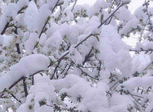 Գեղարքունիքում, Վայոց ձորի և Սյունիքի լեռնային գոտիներում դիտվել են ձյան առատ տեղումներ